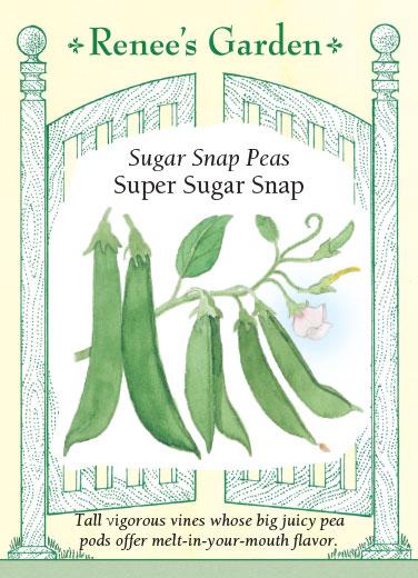 RG Snap Pea Super Sugar